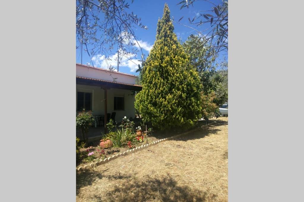 Irinis Cottage กาลาเนรา ภายนอก รูปภาพ
